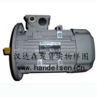 AC-Motoren感應(yīng)電機(jī)循環(huán)電機(jī)磁力電機(jī)高轉(zhuǎn)矩電機(jī)直銷(xiāo)