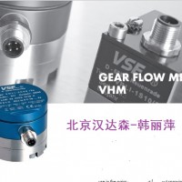 VSE  VHM系列VHM 01–2流量計