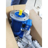 德國ATB防爆電機CD 100 L2-4