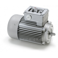 Minimotor-減速電機(jī)PAE 165M3供應(yīng)