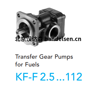 Kracht齒輪泵KF系列KF-F 40RF2-158-D15