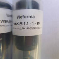 Weforma工業(yè)緩沖器旋轉阻尼器