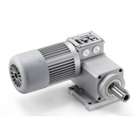 Mini Motor 齒輪電機(jī)產(chǎn)品型號(hào)介紹