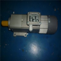 德國Mini motor 同軸電機(jī) AC-72T 7.4 B3產(chǎn)品特點(diǎn)