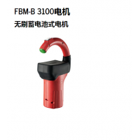 德國(guó)FLUX無(wú)刷儲(chǔ)電式電機(jī)FBM-B 3100