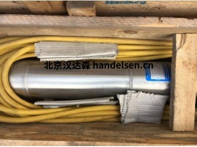 Pleuger臥式柱塞泵應(yīng)用于化工和石化行業(yè) QN122-2a+MI10-740-2