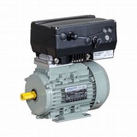 AC-Motoren高壓電機(jī) ACM180系列防護(hù)等級IP65