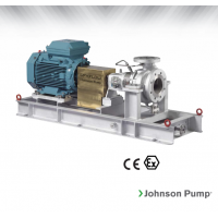 Johnson Pump 重型流程泵，適合化工/石化工業(yè)、煉油廠和一般工業(yè)應(yīng)用