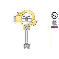 aplisens CTSW1 CTSW2潤濕件材料15HM溫度計(jì)傳感器類型ATEX認(rèn)證