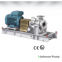 Johnson Pump 重型流程泵，適合化工、煉油廠和一般工業(yè)應(yīng)用